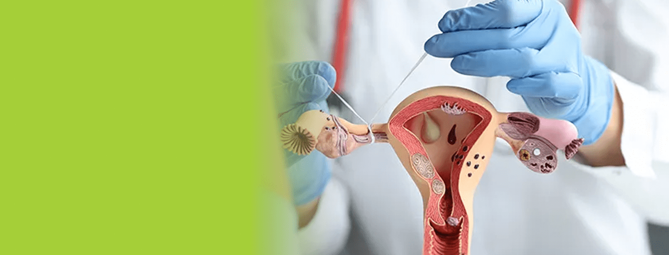 Why Regular Gynaecology Checkups Are Essential for Women’s Health